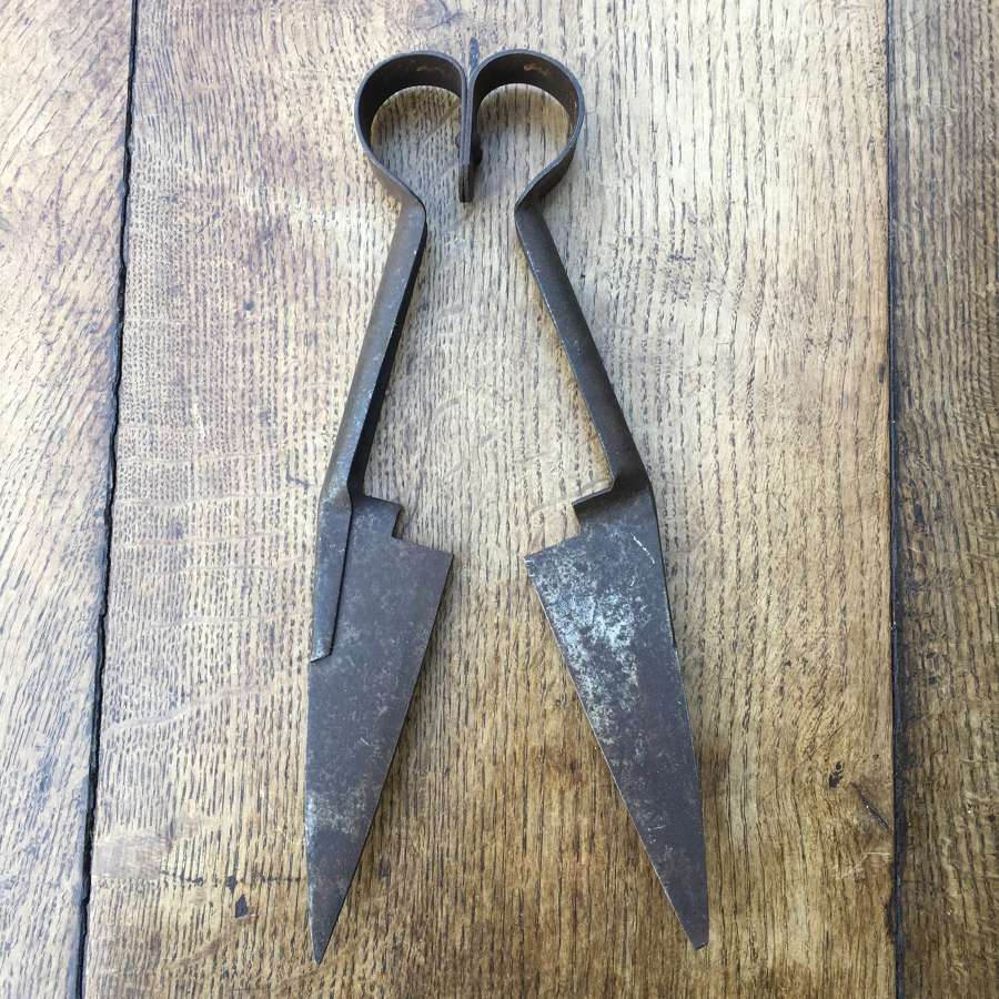 Vintage sheep or topiary shears