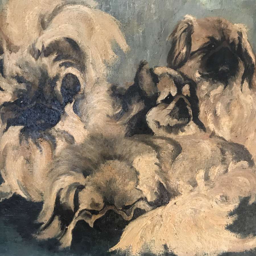 20th century Oil Painting of Pekingese Dogs