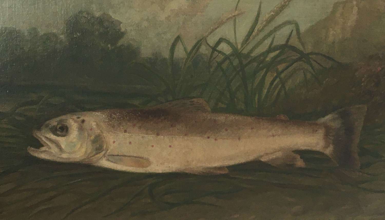 19th century oil on board of a Trout in the manner of Roland Knight