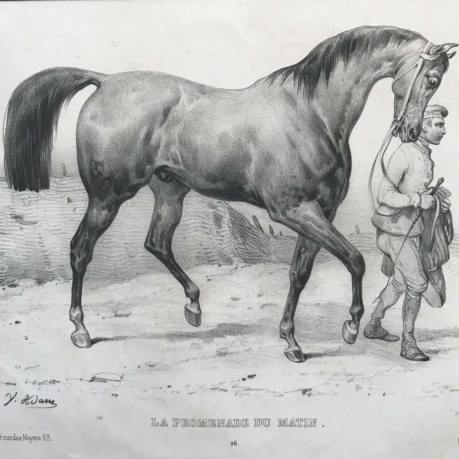 19th century etching of a Horse in a period frame