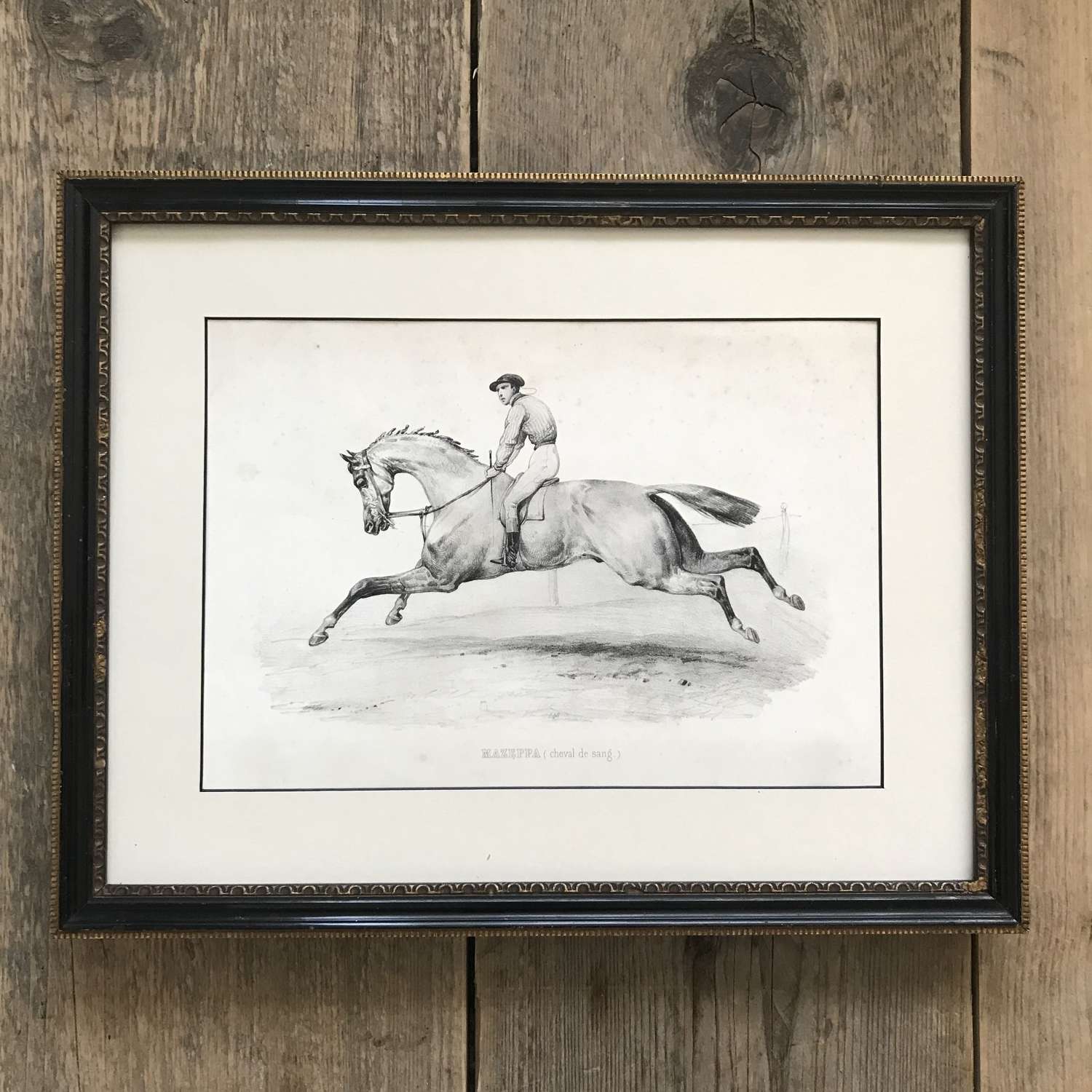 19th century French etching of a galloping racehorse
