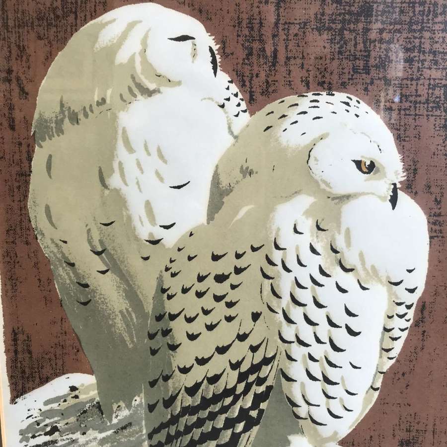 Snowy Owls mono silkscreen print by John Tennent